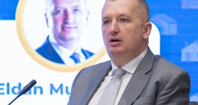 Profesor Mujanović: Pojava organizacija poput Pantera pokazuje slabost institucija