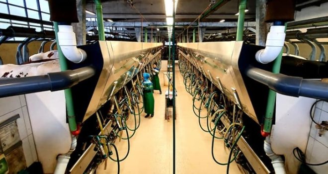 Dva dana radna, dva slobodna:  Jusuf daje platu 1.750 KM, ali nema zainteresovanih