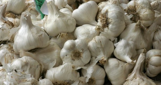 'Zdrav je, ali ga nikada nemojte jesti na ovaj način!' Ljekari upozorili na veliku opasnost od bijelog luka