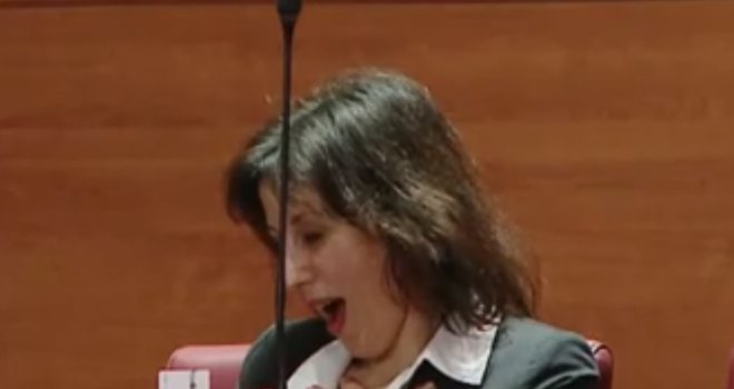 Zastupnicu stresla struja tokom sjednice hrvatskog Sabora: Dajte stanku...