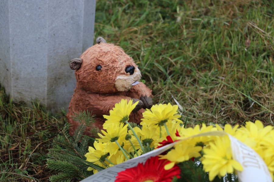 vlakovo-bebe-dom-bjelave-19-godisnjica-2