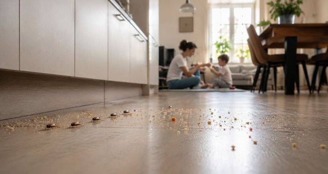 Pojava žohara u stanovima i zgradama ozbiljan zdravstveni rizik: Evo kako spriječiti najezdu